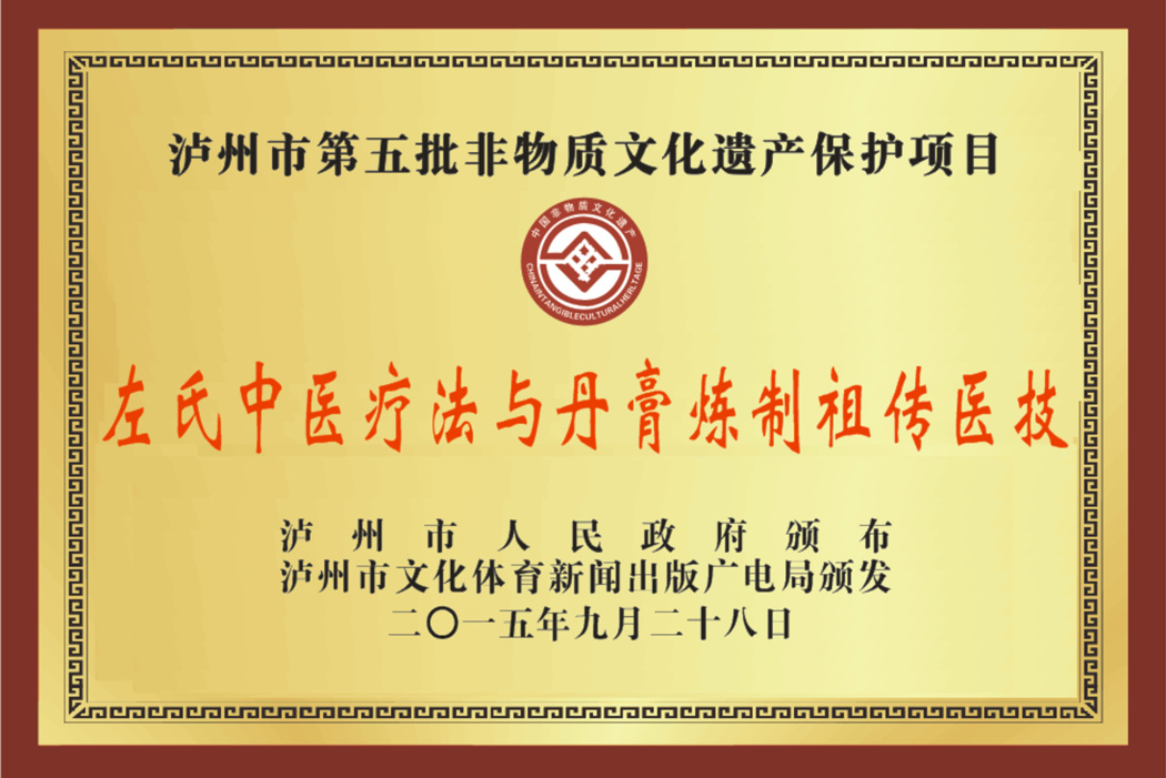 泸州市第五批非物质文化遗产保护项目